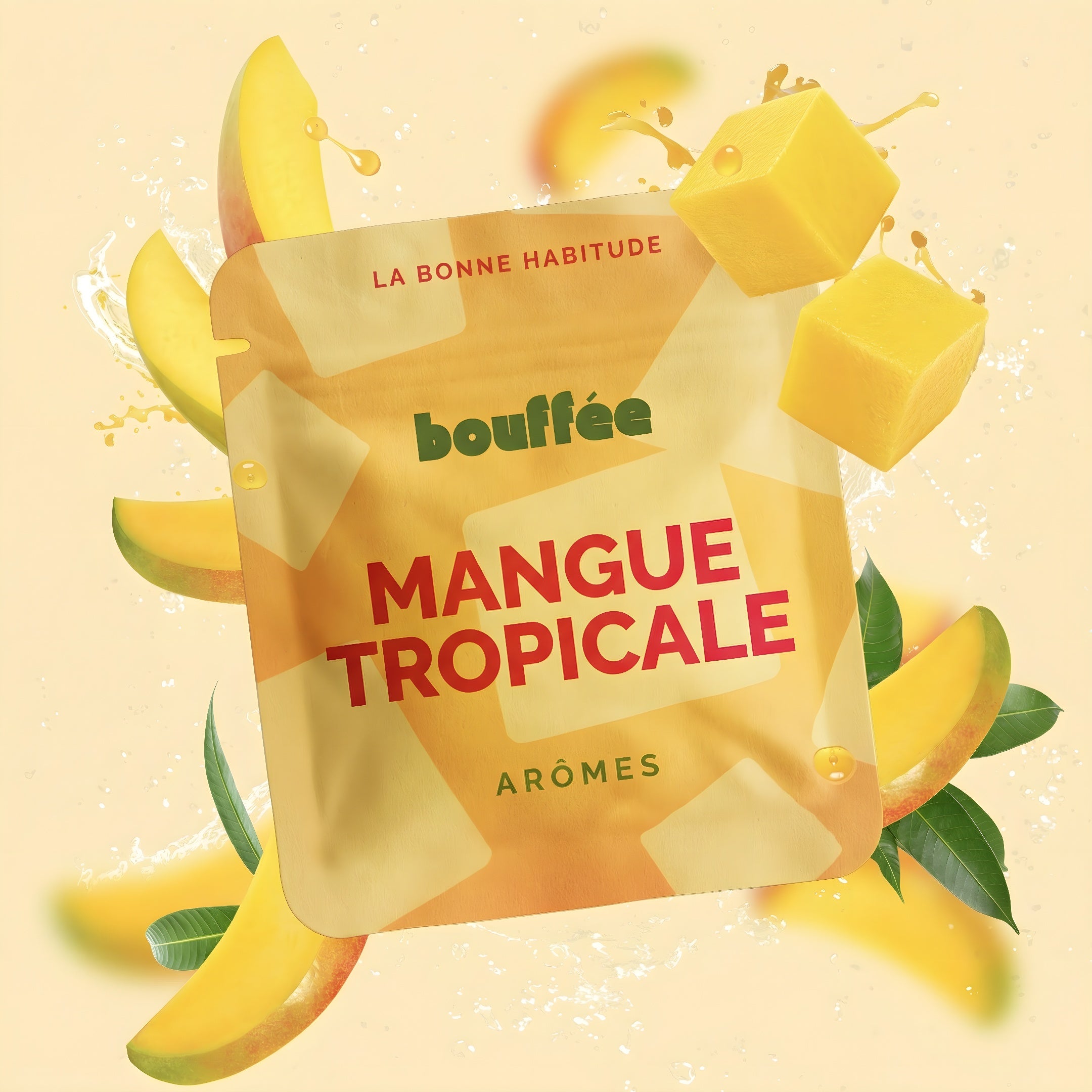 MANGUE TROPICALE 🥭