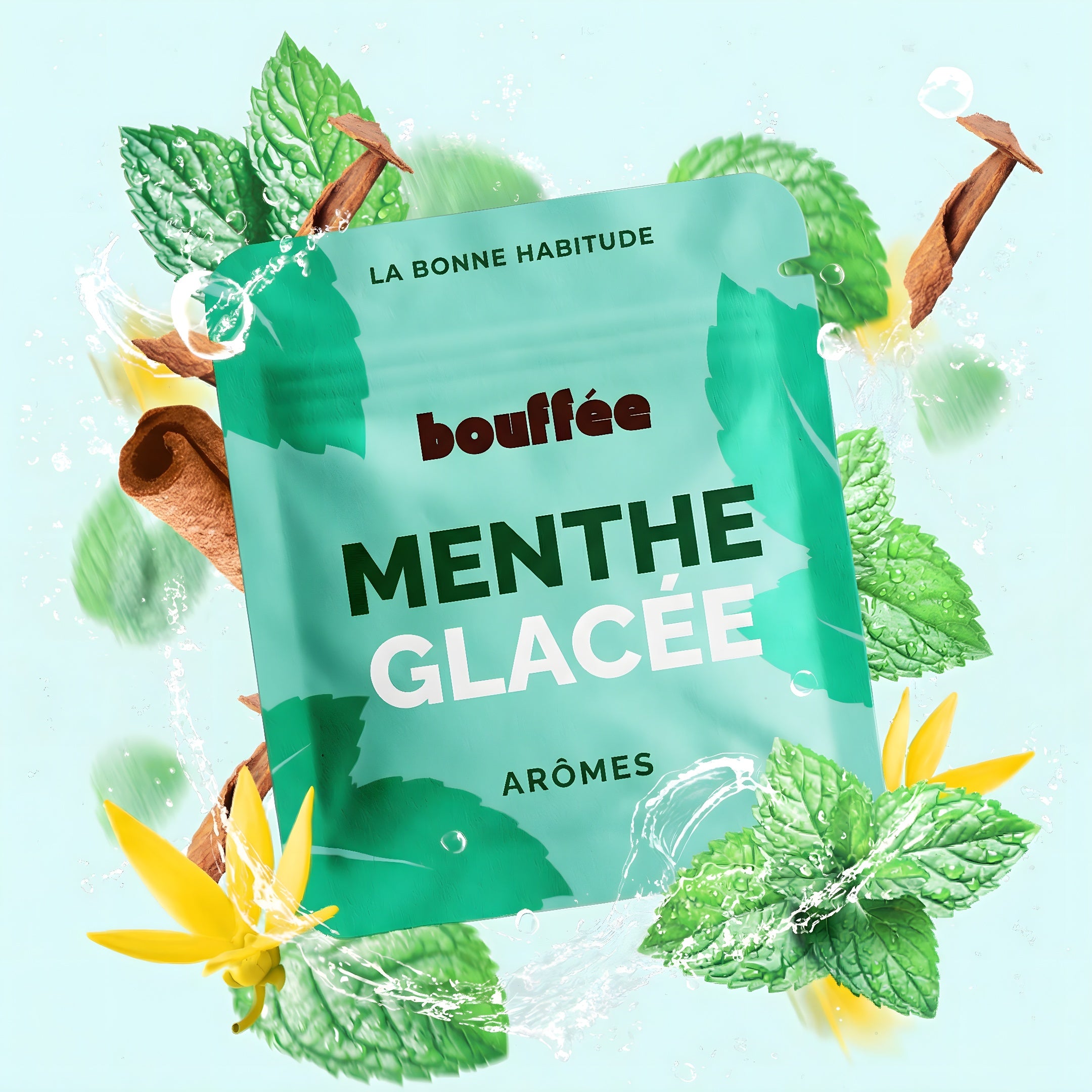 MENTHE GLACÉE ❄️